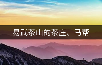易武茶山的茶莊、馬幫