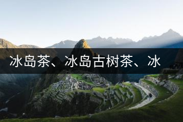冰島茶、冰島古樹茶、冰島茶區(qū)茶、冰島茶區(qū)古樹茶