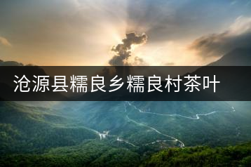 滄源縣糯良鄉(xiāng)糯良村茶葉初制所