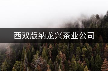 西雙版納龍興茶業(yè)公司