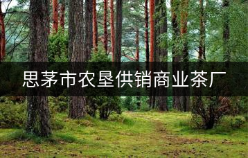 思茅市農(nóng)墾供銷商業(yè)茶廠