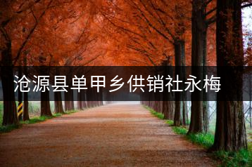 滄源縣單甲鄉(xiāng)供銷(xiāo)社永梅茶廠
