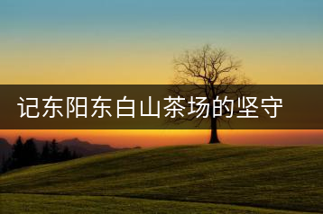 記東陽東白山茶場的堅(jiān)守者金永平