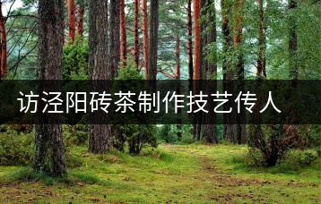 訪涇陽磚茶制作技藝傳人、陜西省非遺傳承人賈根社