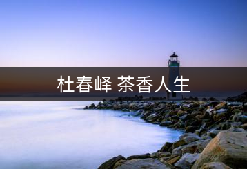 杜春嶧 茶香人生