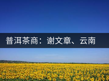 普洱茶商：謝文章、云南谷申商貿(mào)有限公司總經(jīng)理
