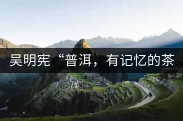 吳明憲“普洱，有記憶的茶品”