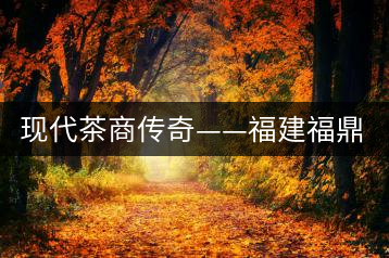 現(xiàn)代茶商傳奇——福建福鼎“品品香”茶業(yè)