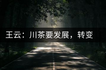王云：川茶要發(fā)展，轉(zhuǎn)變思想是關(guān)鍵