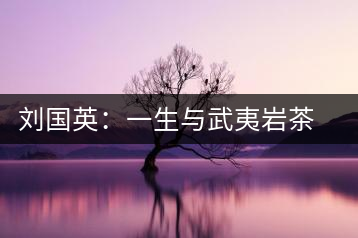 劉國英:一生與武夷巖茶結(jié)緣