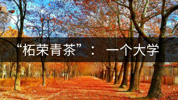 “柘榮青茶”: 一個大學生的創(chuàng)業(yè)夢想