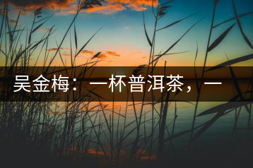 吳金梅：一杯普洱茶，一份云南情