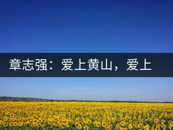 章志強(qiáng)：愛上黃山，愛上黃山的茶