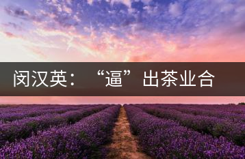 閔漢英：“逼”出茶業(yè)合作社，帶領(lǐng)村民走上致富路