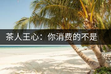 茶人王心：你消費的不是茶，是我