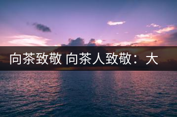 向茶致敬 向茶人致敬:大益集團吳遠之先生