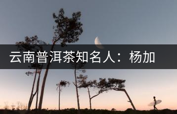 云南普洱茶知名人：楊加龍