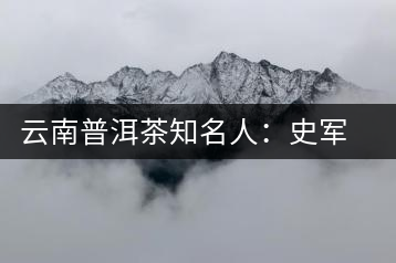 云南普洱茶知名人:史軍超