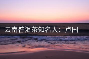 云南普洱茶知名人:盧國齡