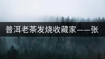 普洱老茶發(fā)燒收藏家——張奇明