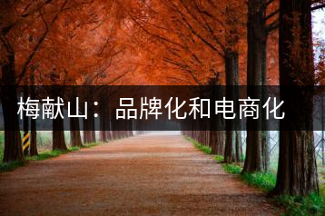 梅獻山：品牌化和電商化成為茶產(chǎn)業(yè)的第三個轉(zhuǎn)機