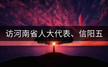 訪河南省人大代表、信陽五岳集團董事長胡鎮(zhèn)——茶鄉(xiāng)亦飄茶油香