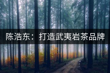 陳浩東：打造武夷巖茶品牌 弘揚(yáng)中華茗茶文化