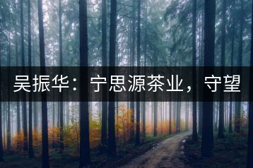 吳振華：寧思源茶業(yè)，守望家鄉(xiāng) 做好“金獎(jiǎng)茶王”