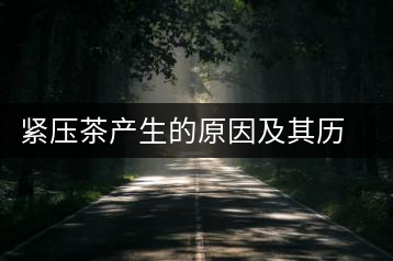 緊壓茶產(chǎn)生的原因及其歷史發(fā)展過(guò)程