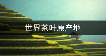 世界茶葉原產(chǎn)地