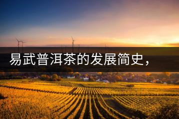 易武普洱茶的發(fā)展簡史，昔日的貢茶如今依然輝煌