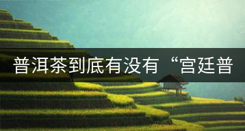 普洱茶到底有沒(méi)有“宮廷普洱”一說(shuō)？它到底是什么？