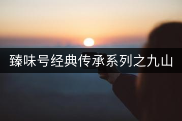 臻味號經(jīng)典傳承系列之九山真味套裝2016春