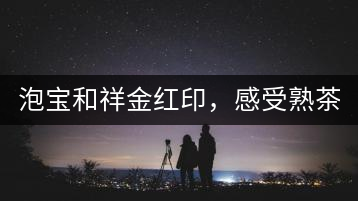 泡寶和祥金紅印，感受熟茶之美。