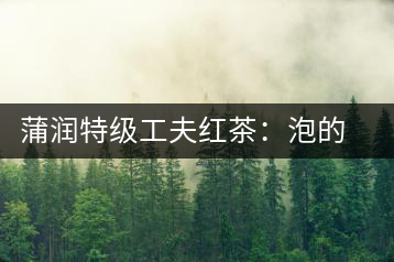 蒲潤(rùn)特級(jí)工夫紅茶：泡的方便，喝的舒適