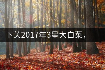 下關(guān)2017年3星大白菜，好茶從未中斷