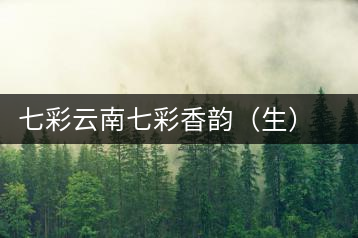 七彩云南七彩香韻(生)的棉紙之后……