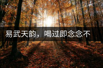 易武天韻，喝過(guò)即念念不忘的茶中皇后