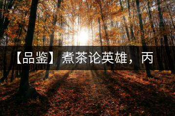 【品鑒】煮茶論英雄，丙申年易武麻黑