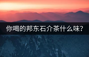 你喝的邦東石介茶什么味？