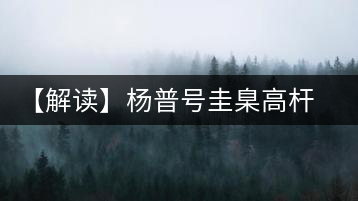 【解讀】楊普號(hào)圭臬高桿茶：形高、氣足、韻遠(yuǎn)的一款茶