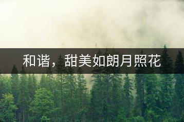 和諧，甜美如朗月照花