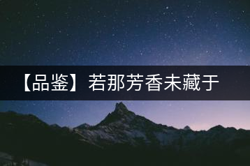 【品鑒】若那芳香未藏于樟野，怎會這般獨具韻味？