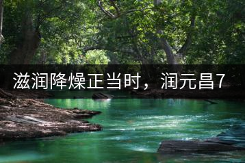 滋潤降燥正當時，潤元昌701野生古樹紅茶驚鴻再現(xiàn)