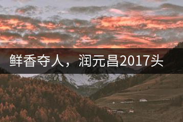 鮮香奪人，潤(rùn)元昌2017頭采小青柑即將上市