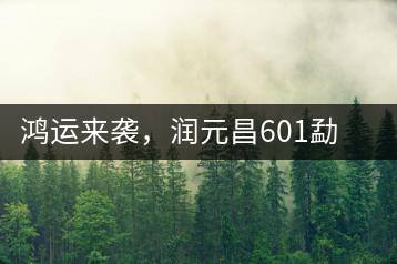 鴻運(yùn)來(lái)襲,潤(rùn)元昌601勐海紅韻熟茶即將上市