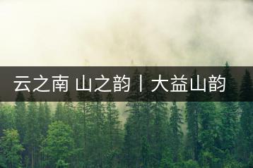 云之南 山之韻丨大益山韻，“韻”味傳奇之山韻歸來