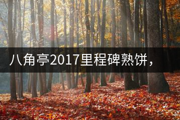 八角亭2017里程碑熟餅，自先發(fā)酵而后愛(ài)人