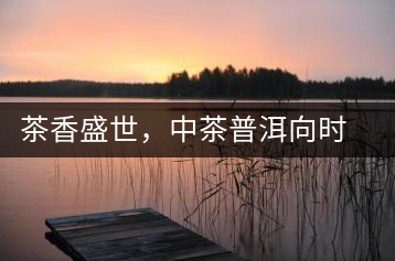 茶香盛世，中茶普洱向時(shí)代獻(xiàn)禮