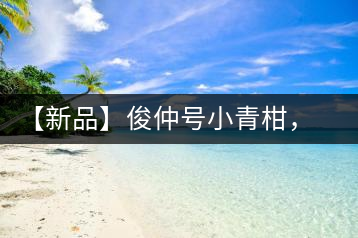 【新品】俊仲號小青柑，青果來傾城
